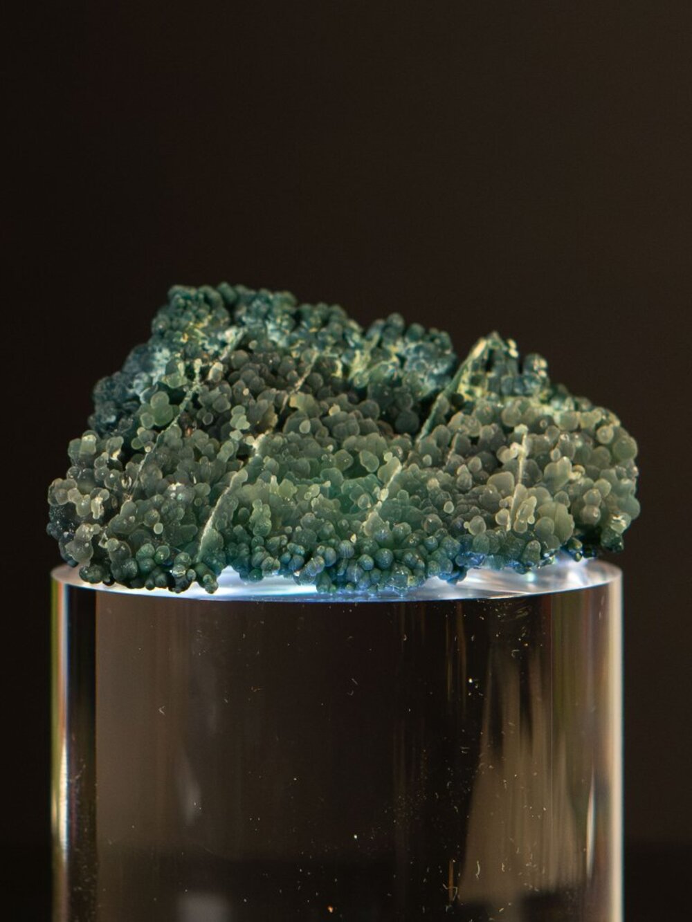 Rare Dark Green Grape Agate Crystal Specimen Raw Cluster 20g